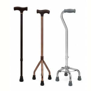 Walking Stick